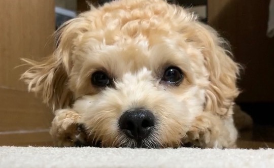 生き物ルーム第22