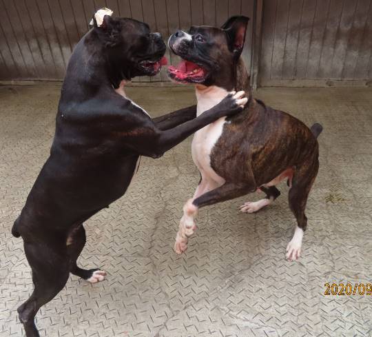 生き物ルーム第23