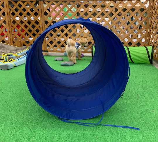 生き物ルーム第23