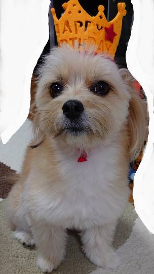 生き物ルーム第23