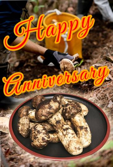 EGG'S CAFE 『雑談板5周年おめでとう』