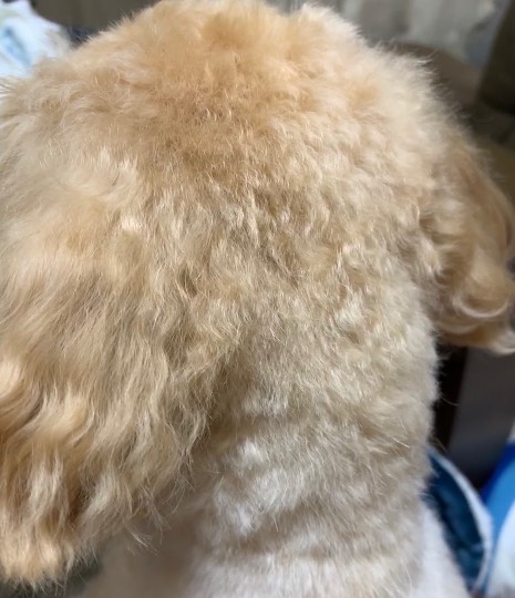 生き物ルーム第23