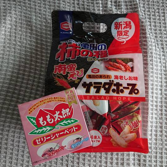 マスク同窓会詰所兼ニューフェイス歓迎所5