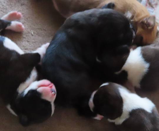 生き物ルーム第23