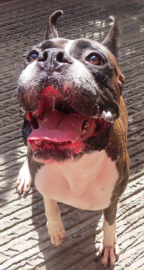 生き物ルーム第22