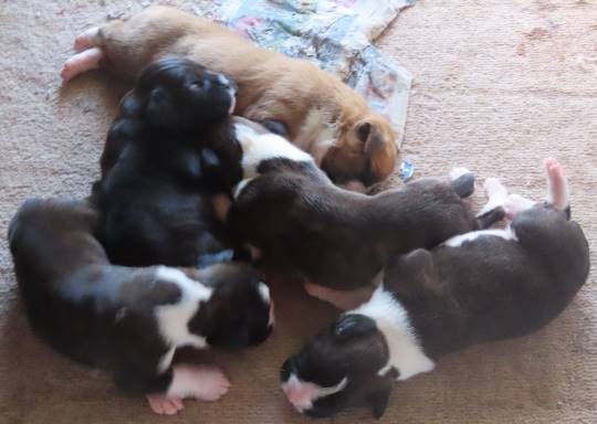 生き物ルーム第23