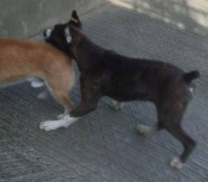 生き物ルーム第23