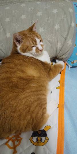 生き物ルーム第23