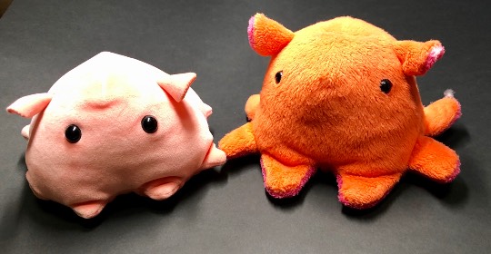 あつまれゲーム好きさんの森 Ⅴ 雑談も歓迎しとーよ♪