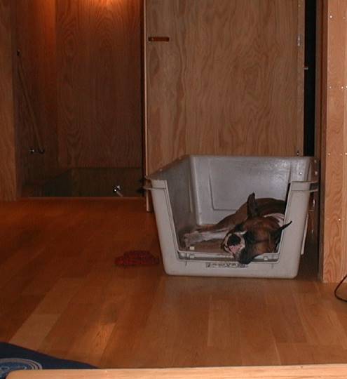 生き物ルーム第23