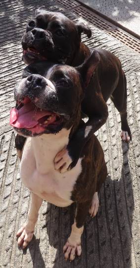 生き物ルーム第22