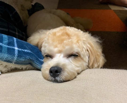 生き物ルーム第22