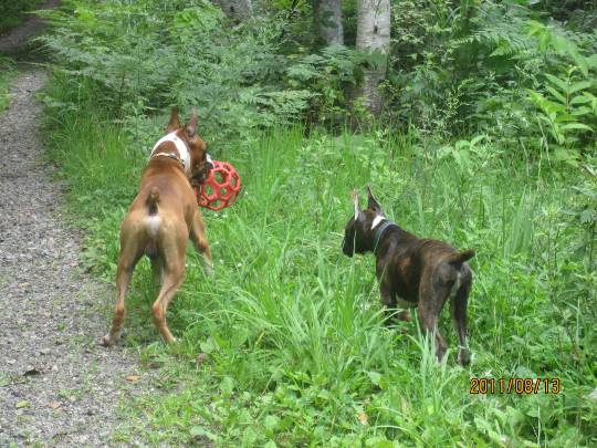 生き物ルーム第23