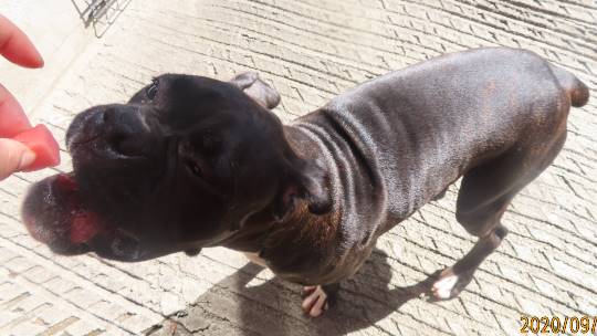 生き物ルーム第22