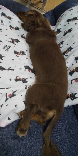 生き物ルーム第22