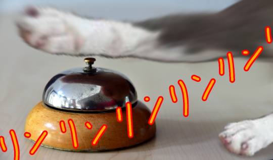 生き物ルーム第23