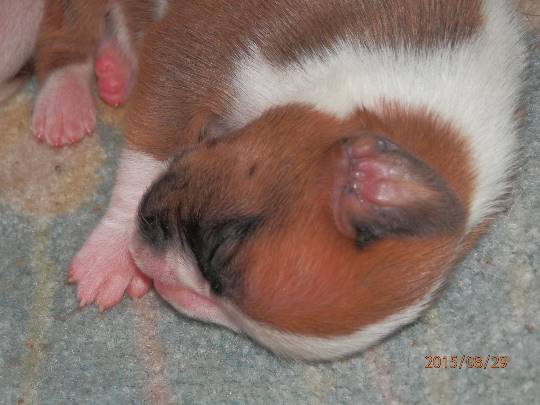 生き物ルーム第23