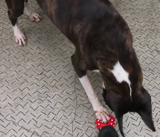 生き物ルーム第23