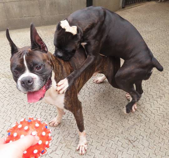 生き物ルーム第23