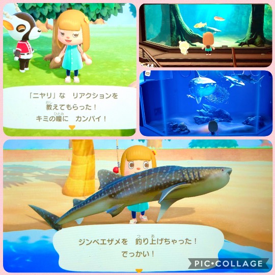 あつまれゲーム好きさんの森Ⅳ〜その他の話もあるでよ〜