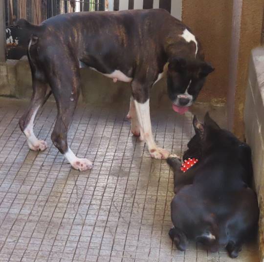 生き物ルーム第23