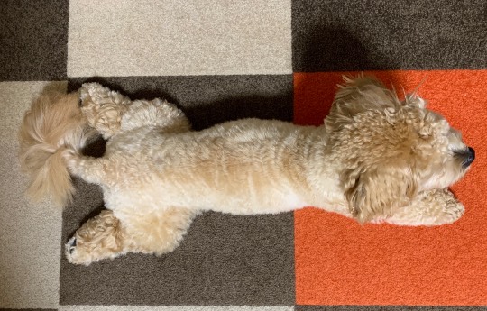 生き物ルーム第23