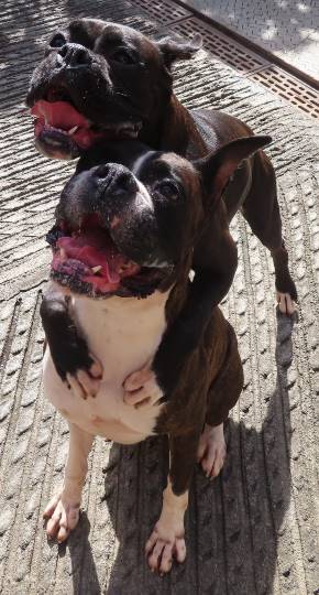 生き物ルーム第22