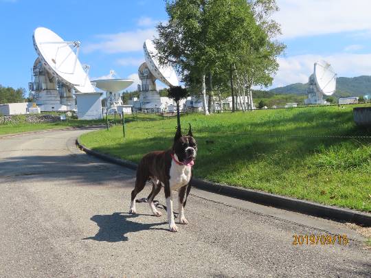 生き物ルーム第22