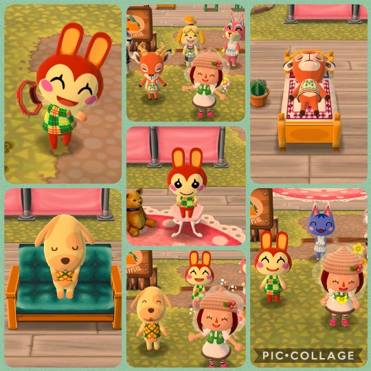 あつまれゲーム好きさんの森Ⅳ〜その他の話もあるでよ〜