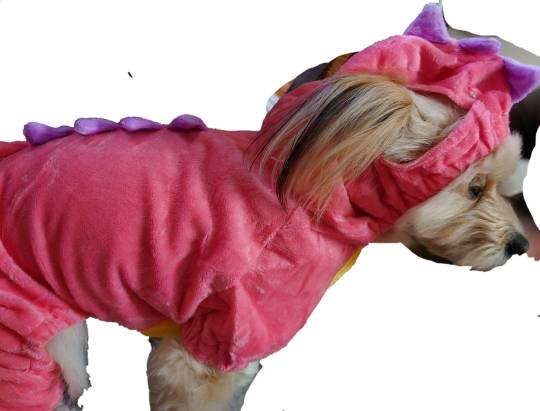 生き物ルーム第22