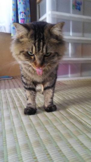 生き物ルーム第22