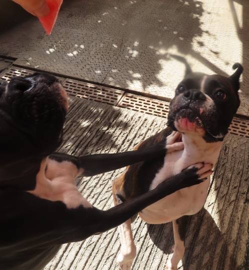 生き物ルーム第22