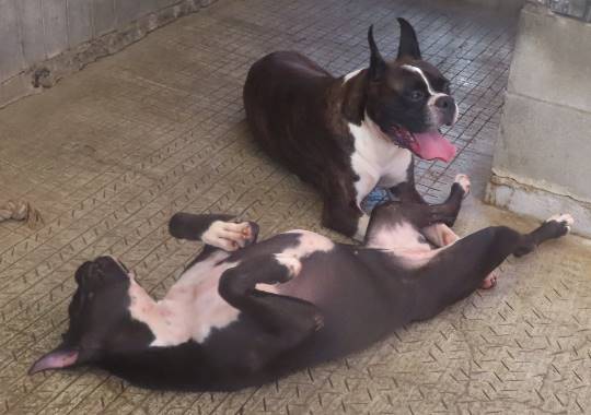 生き物ルーム第22