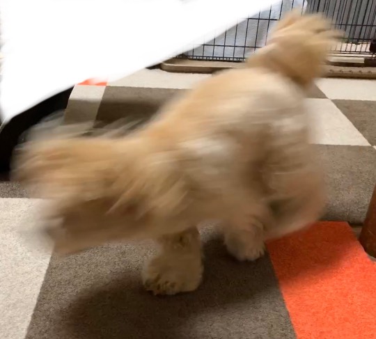 生き物ルーム第23