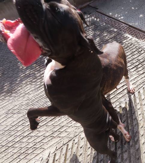 生き物ルーム第23