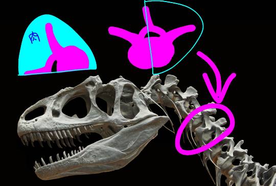 EGG'S CAFE 『雑談板5周年おめでとう』