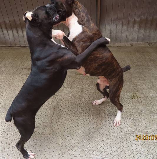 生き物ルーム第23