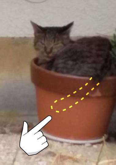 生き物ルーム第22