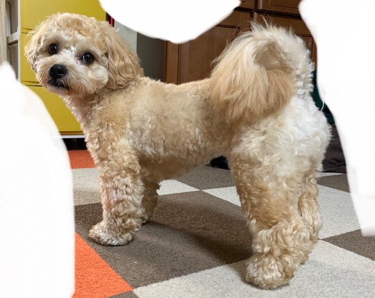 生き物ルーム第23