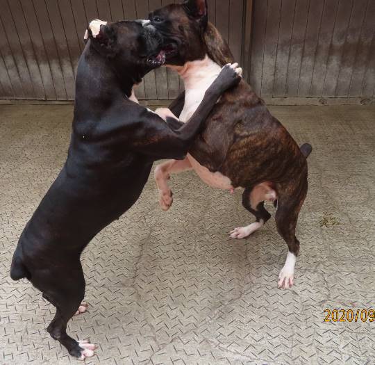 生き物ルーム第23