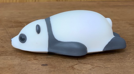 生き物ルーム第23