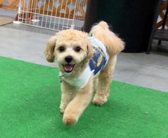 生き物ルーム第22