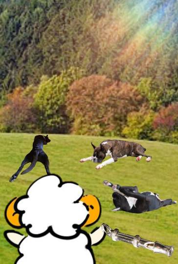 生き物ルーム第23