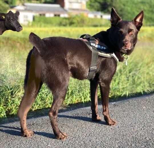 生き物ルーム第23