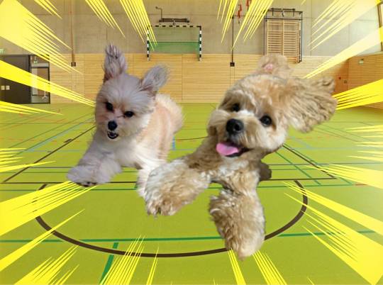 生き物ルーム第23