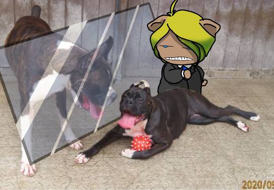 生き物ルーム第23