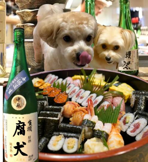 生き物ルーム第24