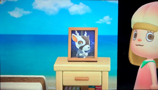 あつまれゲーム好きさんの森 Ⅴ 雑談も歓迎しとーよ♪