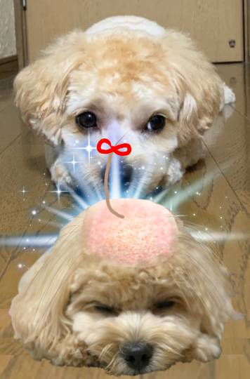 生き物ルーム第24