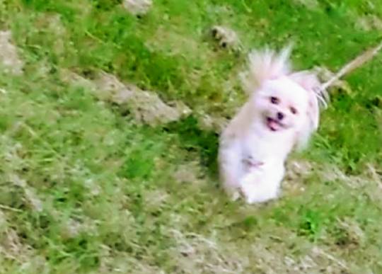 生き物ルーム第24